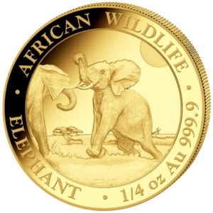 2024 Somalia 1/4 oz Gull African Elephant Anmerkning M/Kapsel