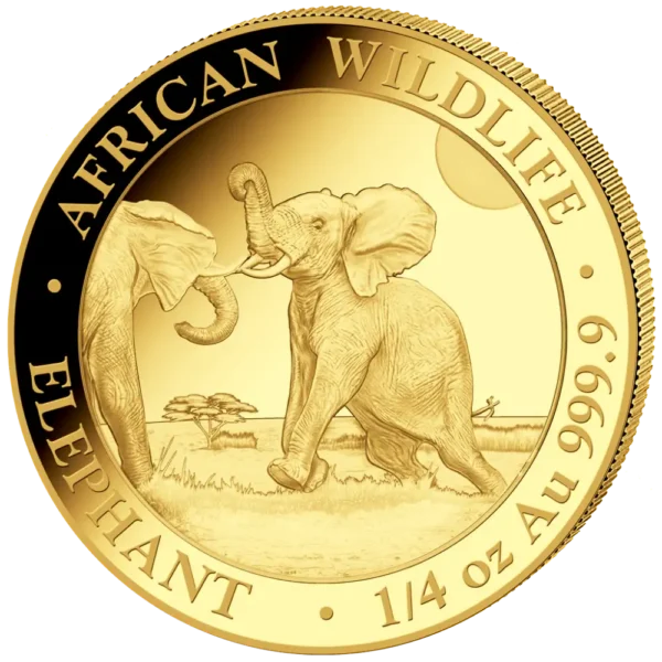 2024 Somalia 1/4 oz Gull African Elephant Anmerkning M/Kapsel