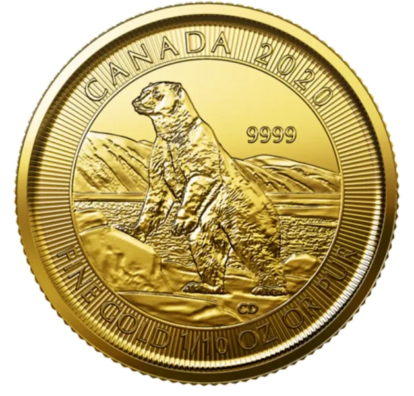 2020 Canada 1/10 oz Gull Polar Bear BU "Sealed"
