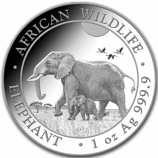 2022 Somalia 1 oz Sølv African Elephant Anmerkning