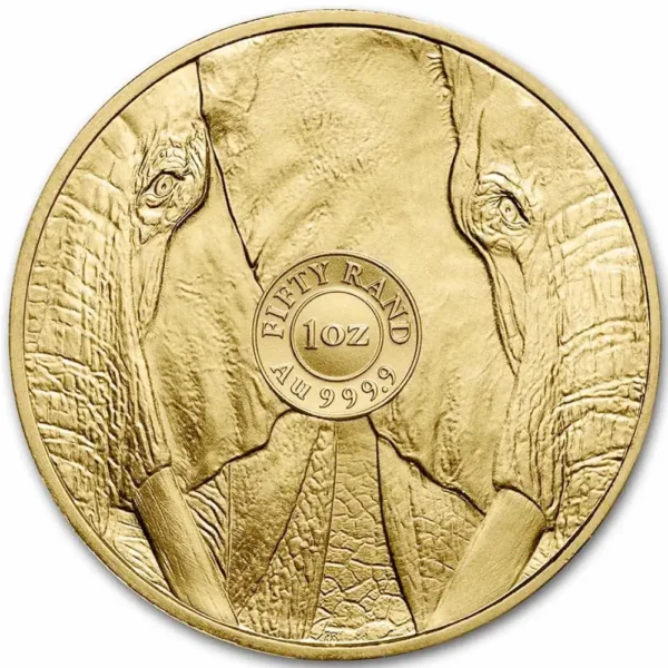 2022 Sør-Afrika 1 oz Gull Big Five Elephant BU M/Air-tite kapsel - Bilde 2